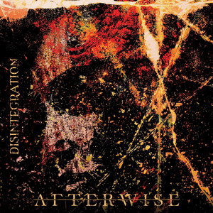 Equilibrium by Afterwise