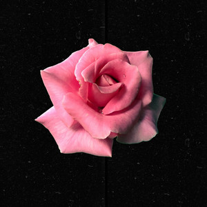 តន់ ចន្ទសីម៉ា - មនុស្សដូចខ្ញុំ