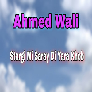 Ahmed Wali - Dauhmani Maktaba
