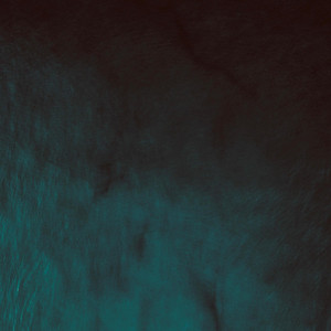 Flower (Rain) by Roen