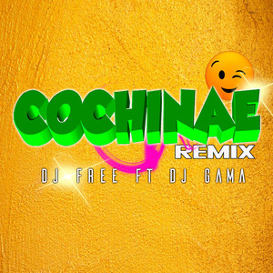 Dj Free - Cochinae dj Gama