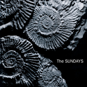 My Finest Hour by The Sundays