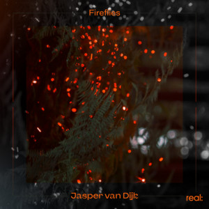 Fireflies by Jasper van Dijk