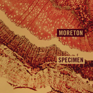 Specimen by Moreton