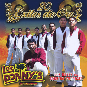 Los Donny's de Guerrero - El Fuego de un Amor