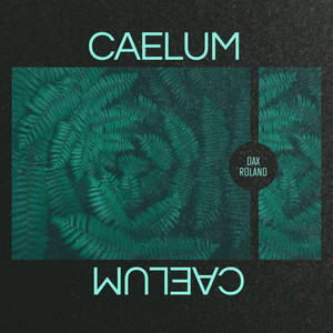 Caelum by Dax Roland