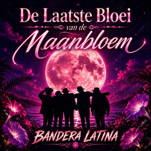 Alcoba Azul by Bandera Latina, Silvana Maria Sichi