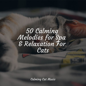 50 Calming Melodies for Spa & Relaxation For Cats album