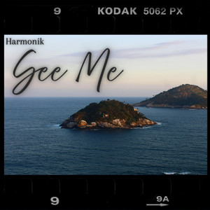 See Me - Radio Edit by Harmonik