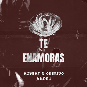 Te Enamoras by a2beat, Querido Ander