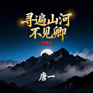 寻遍山河不见卿（烟嗓版） by 唐一