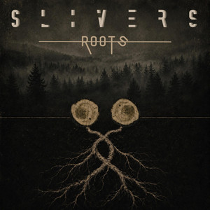Roots by Slivers