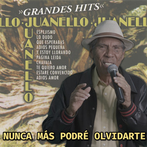 Nunca Más Podré Olvidarte (Cover)