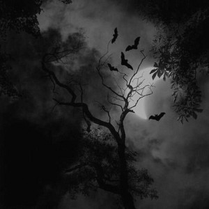 Gomie - Gotham Love (Phonk Remix)