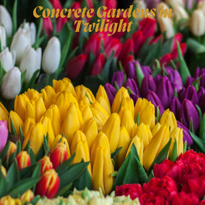 Aether Noon - Concrete Gardens in Twilight