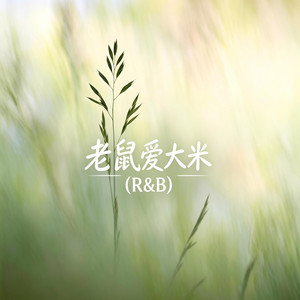 老鼠愛大米 |〔男女R&B版〕 by 王子-R&B新歌