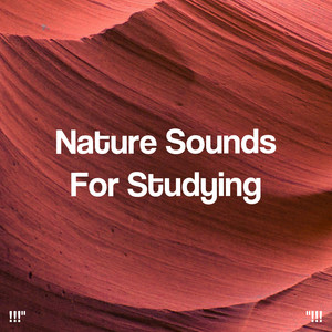 29 Tai Chi In Nature - Album by Nature Sounds Nature Music | Spotify