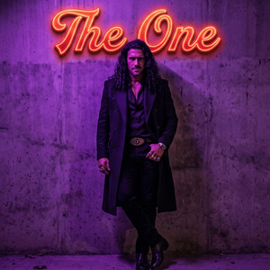The One by Darland Fox