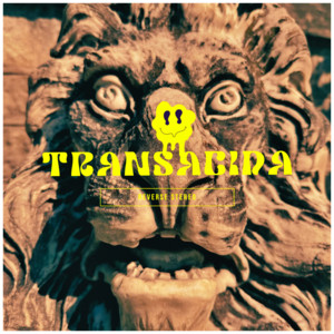 Transacida by Reverse Stereo
