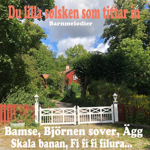 Portada de Ägg