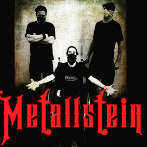 METALLSTEIN — cover art
