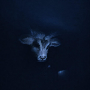 i should be asleep by Chobro