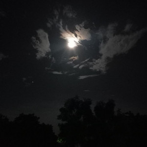 Mazza_l20 - Global shutdown (feat. Ed Matthews)