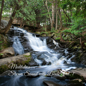 Meditation: Stream Sound with Birds Vol. 1 album