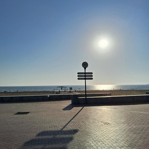 Can You Feel The SunShine