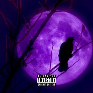 Spidayeezy - Kicking Ass