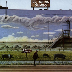 Remedies - Album by Dr. John | Spotify