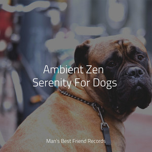 Ambient Zen Serenity For Dogs album