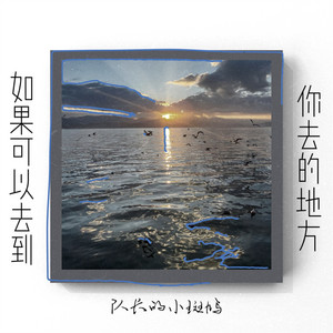 如果可以去到你去的地方 - 说唱版 by 队长的小斑鸠