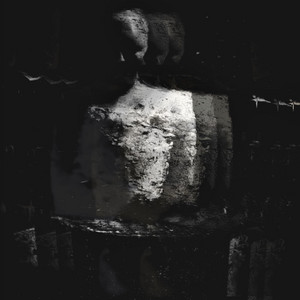 Encephalon Scraped by Jiant
