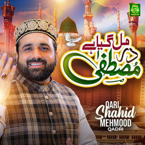 Qari Shahid Mehmood Qadri - Sab Naama Tu Sohna Naam