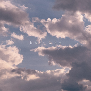But Why? by buffalohaze