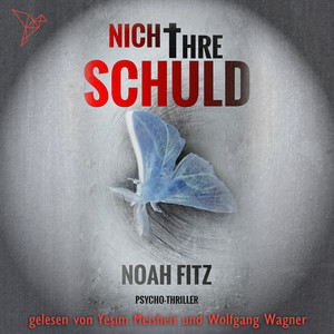 Nicht ihre Schuld (Johannes-Hornoff-Thriller 1)