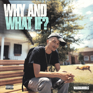 Why and What If? by WASSGOODLC