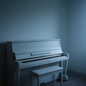 Broken Echo by Abu Nawas 2