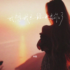 Yuan Tian - 我想我已经失去你了