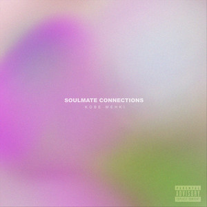 Soul Mate Connections