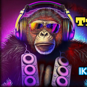 Dj Ikka Mauranipur Dj Sumit Jhansi - Trip Mind Bass