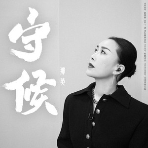 那英 征服 sddefault.jpg