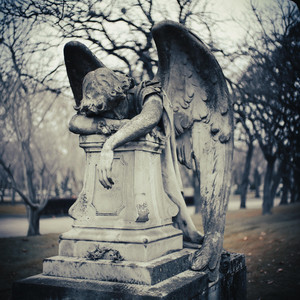 The Dark Angel by Regnum Umbrae