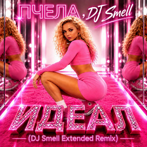 Идеал - DJ Smell Extended Remix by Пчела, DJ Smell