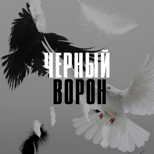 Чёрный ворон