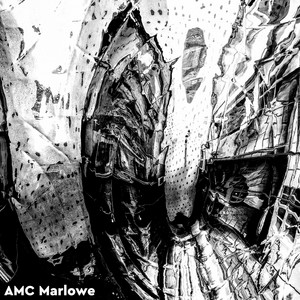 These Fugitive Words by AMC Marlowe