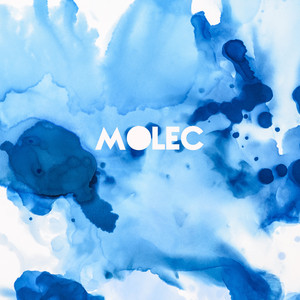 Bluebird Noise by Molec