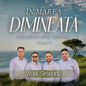 Plini de dor privim în zare by Frații Strugariu Official