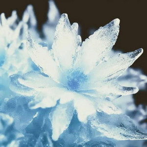 ICEMAN BABY INTERLUDE by YVTS